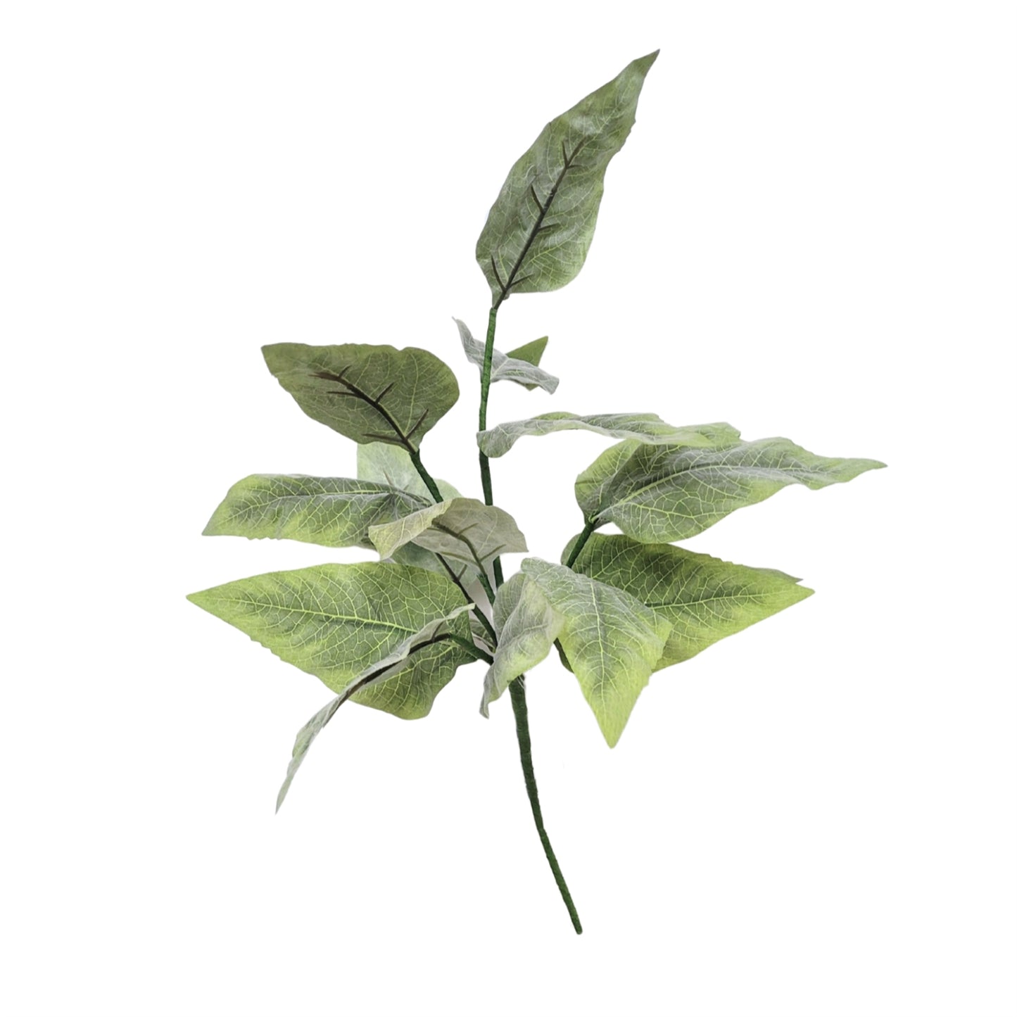 Spring Leaf Bush 18'' | QPE