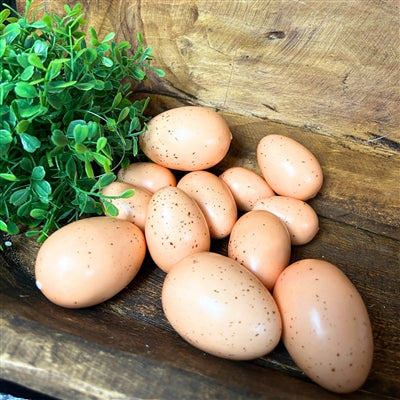 Farmhouse Assortment Eggs Bag of 12 |YSE