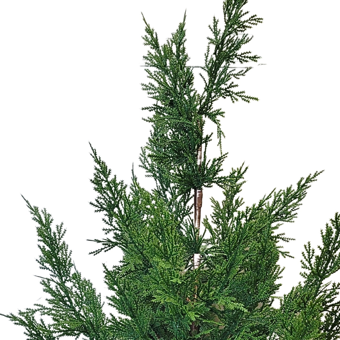 Fresh Touch Cedar Tree in Plastic Pot 29” | YS