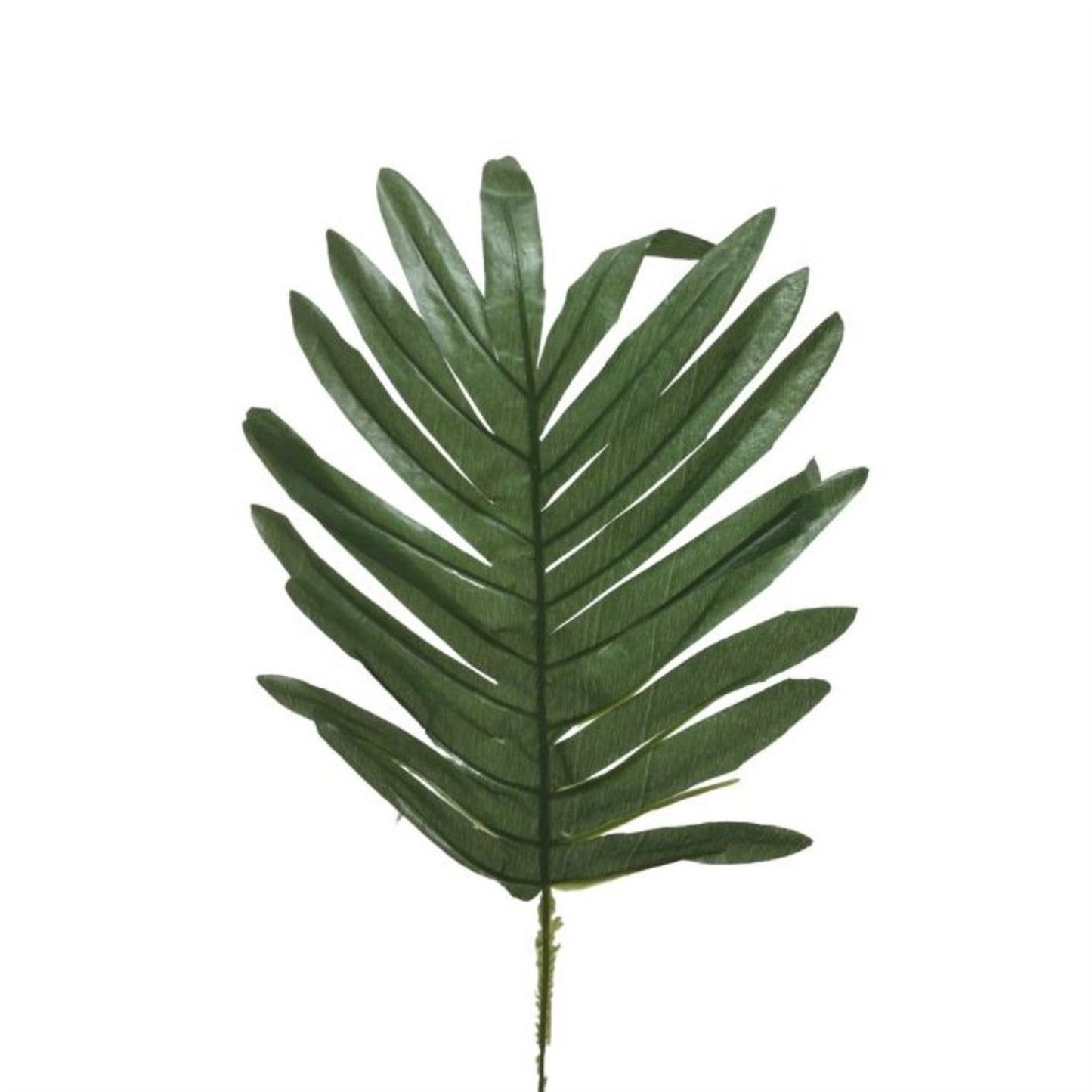 Palm Leaf Bundle 18.5" (12pc Per Bundle) | BYE