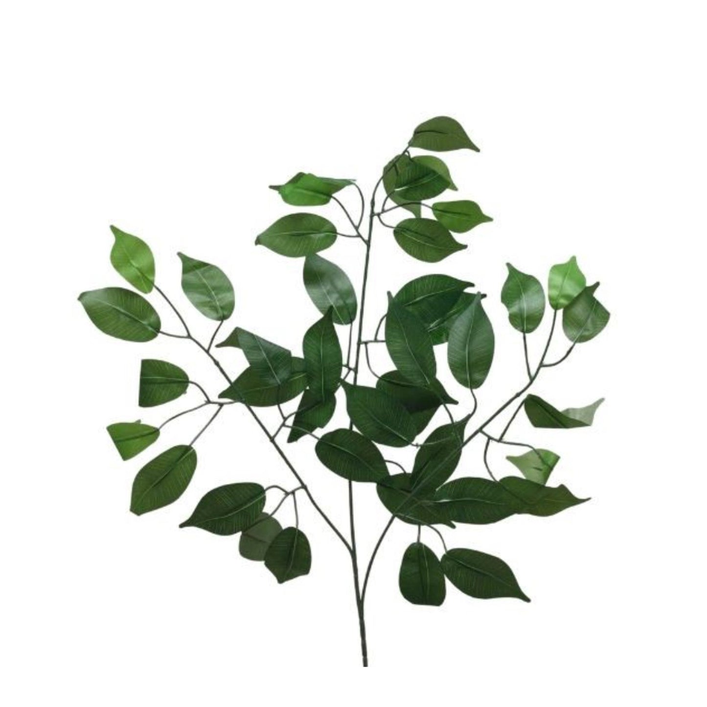 Silk Ficus Leaf Spray 23" | BYE