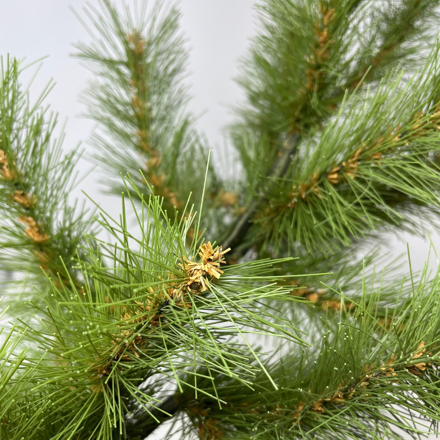 24" Grand Spruce Spray | HT