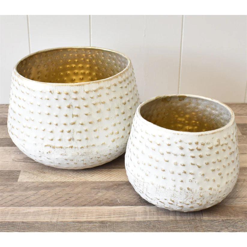 Fun with Ferns Embossed Dot Pot Large DIY KIT {Assembly Required}