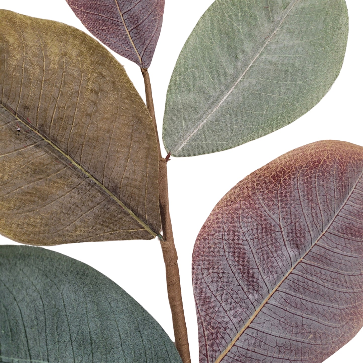 Cypress Hills Magnolia Pick 19'' | QP