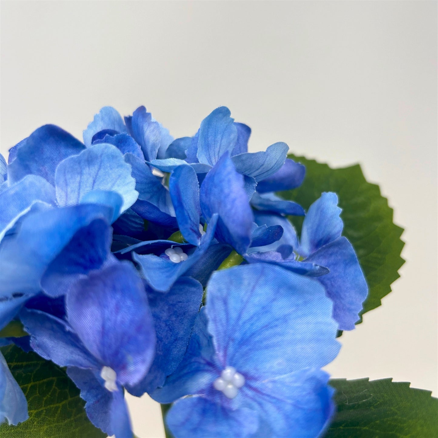Petite Garden Hydrangea 13" - Blue | GTE