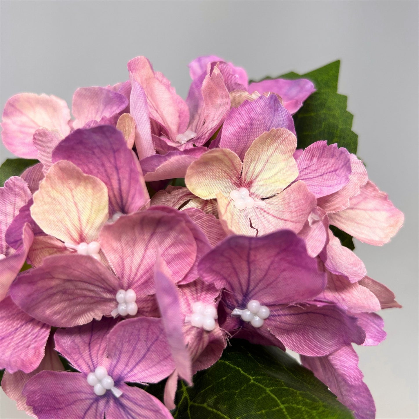 Petite Garden Hydrangea 13" - Lavender | GTE