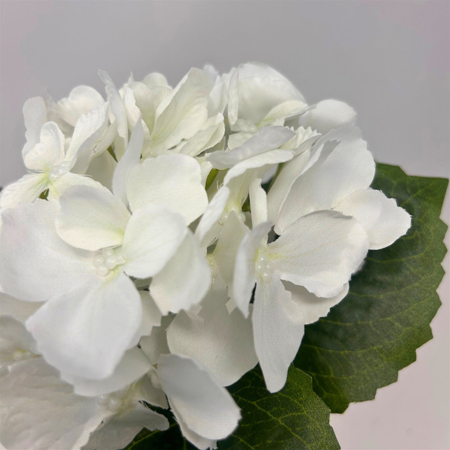 Petite Garden Hydrangea 13" - White | GTE