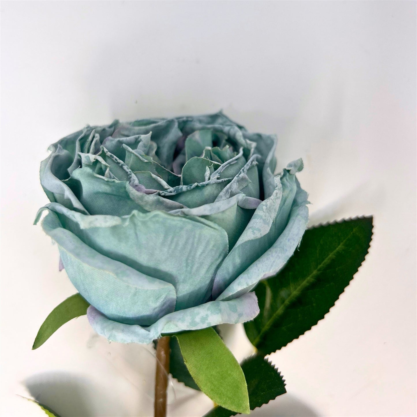 Windsor Rose Stem 24" - Soft Aqua | GTE