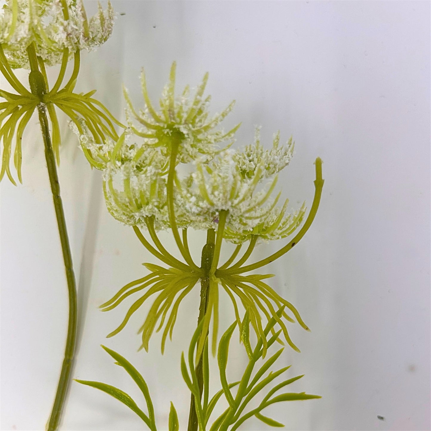 Queen Anne's Lace Spray 32" - White | GTE