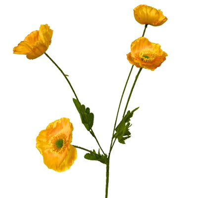 DIY Large Flowering Fields Mini Poppy Kit WITHOUT Planter, FLOWERS ONLY {ASSEMBLY REQUIRED}