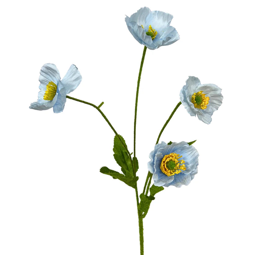 DIY Flowering Field Mini Poppies Kit WITH Planter {ASSEMBLY REQUIRED}