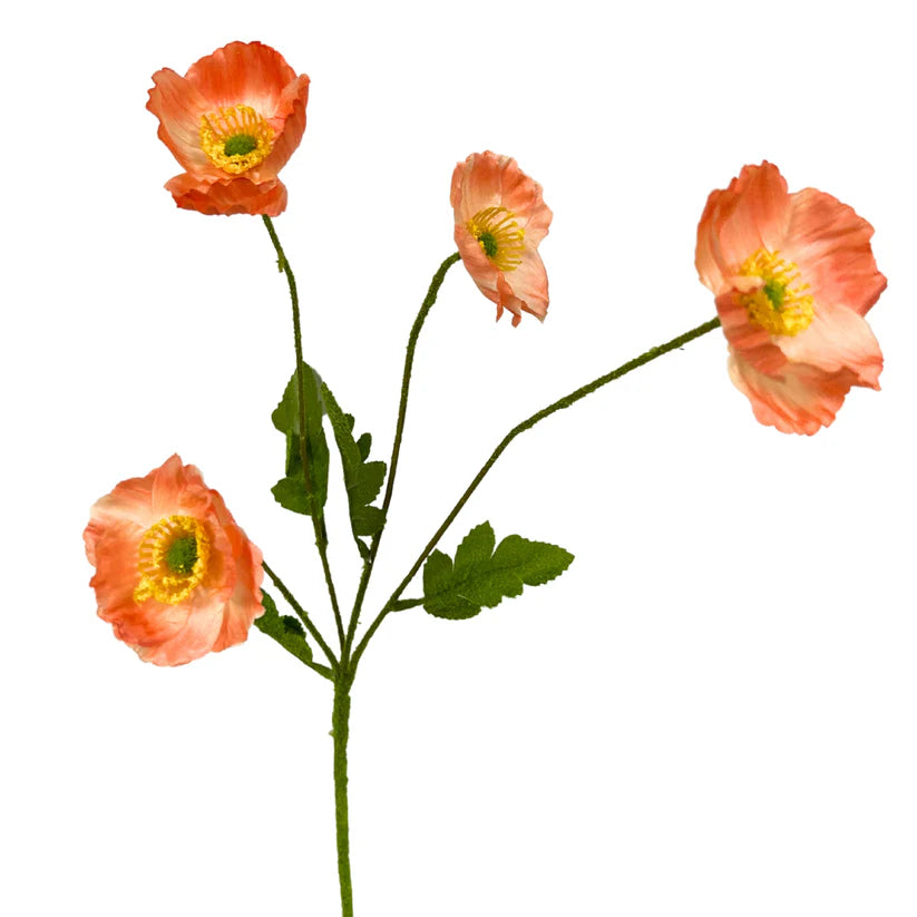DIY Large Flowering Fields Mini Poppy Kit WITHOUT Planter, FLOWERS ONLY {ASSEMBLY REQUIRED}