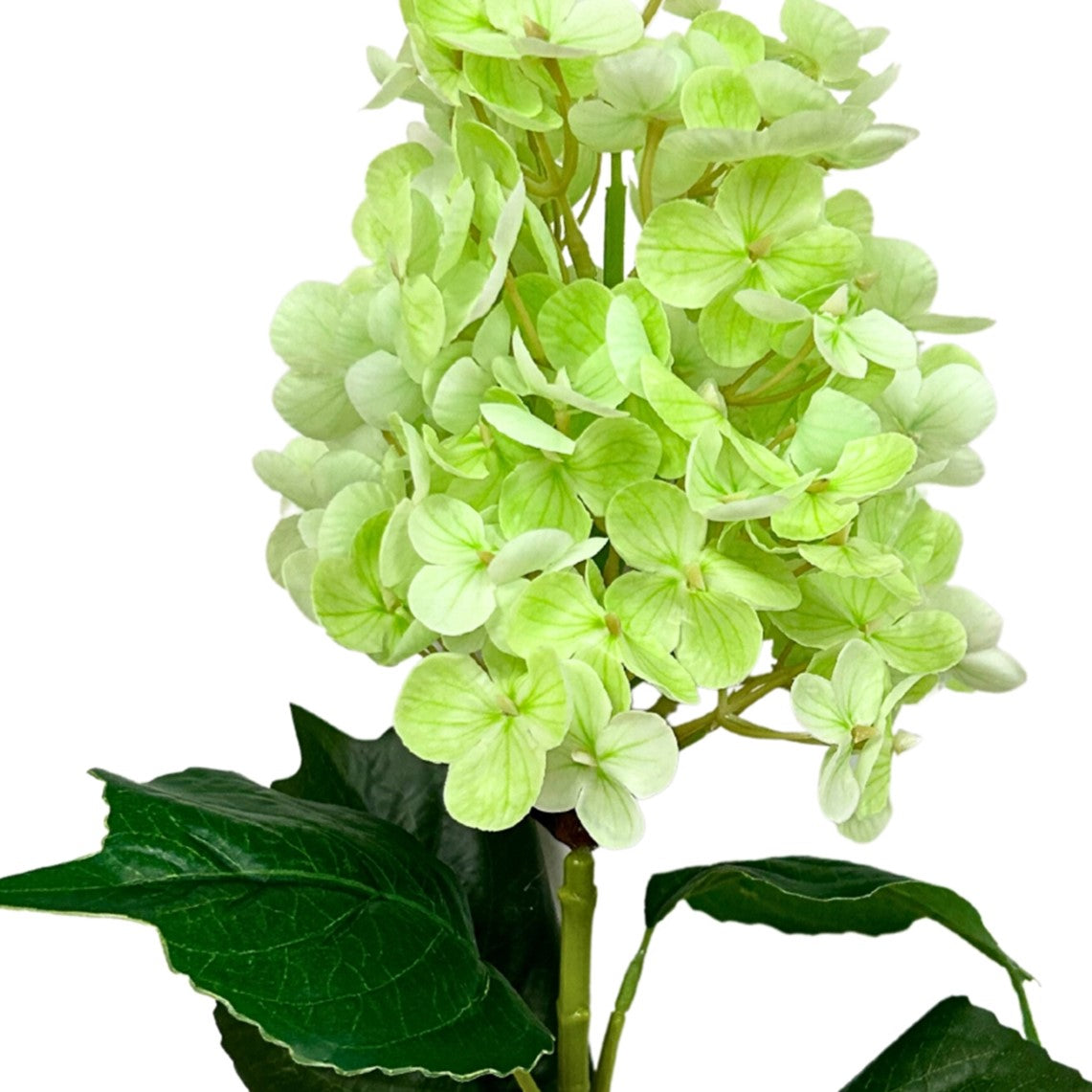Fresh Touch Cone Hydrangea Stem - Green - 29”| YSE