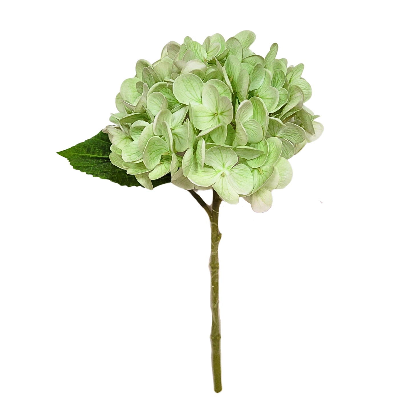Fresh Touch Hydrangea Stem 18” - Light Green |YSE