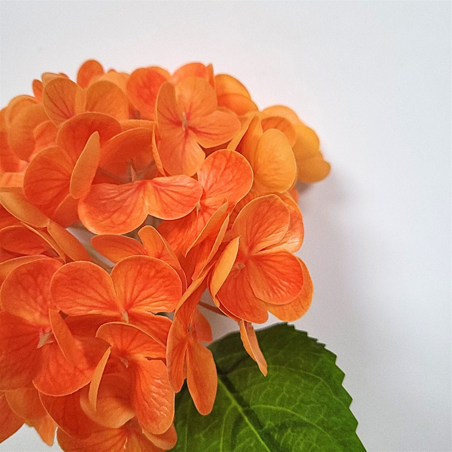 Fresh Touch Hydrangea Stem 18” - Orange | YS