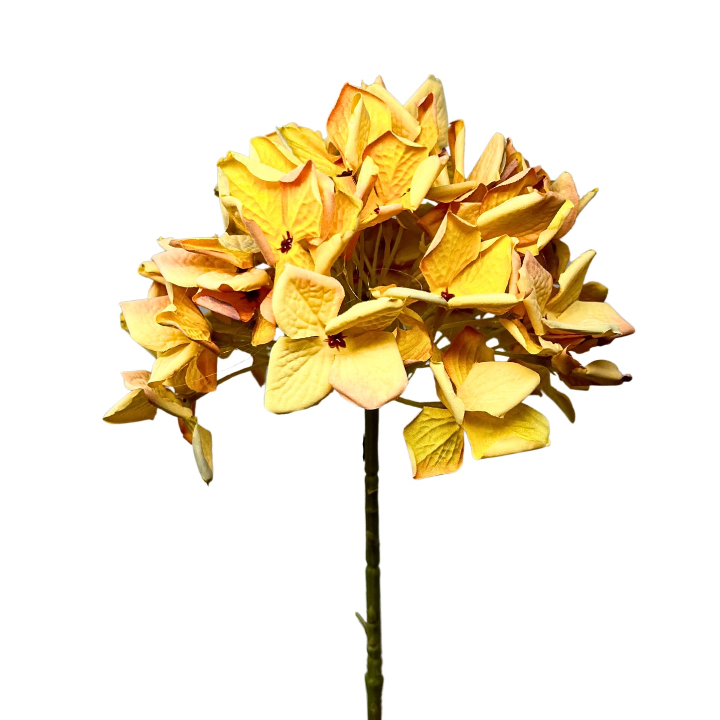 Faux Dried Meadowlands Hydrangea Stem 22" - Orange | YSE