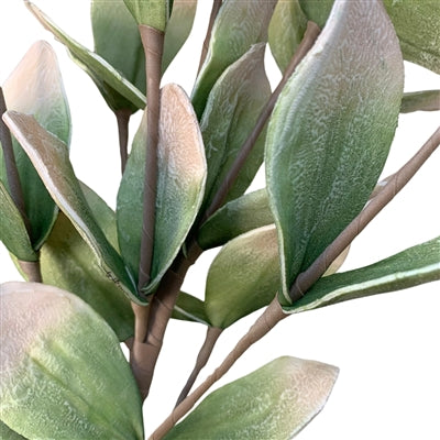 EVA Foam Beach Button Leaf Branch 43.25" |YSE