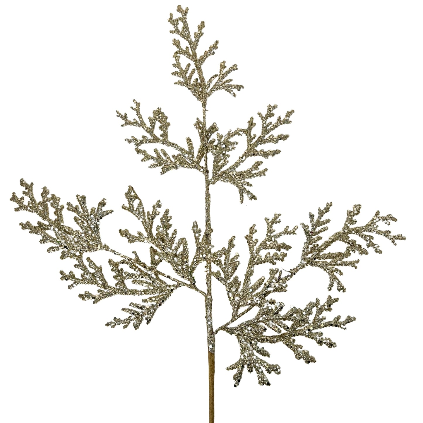 Glitter Lycopodium Spray - Champagne 28.5" | KS