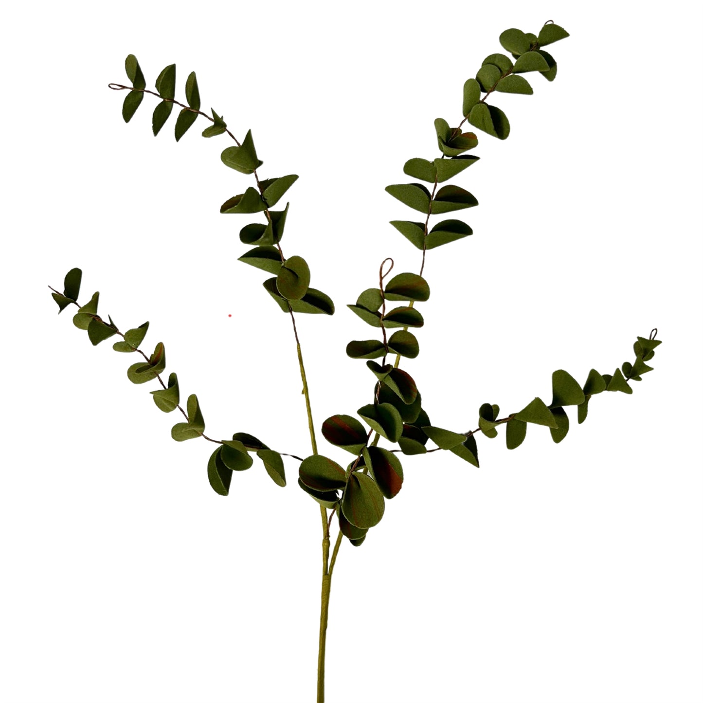 EVA Boxwood Pick - Dark Green 19” | KS