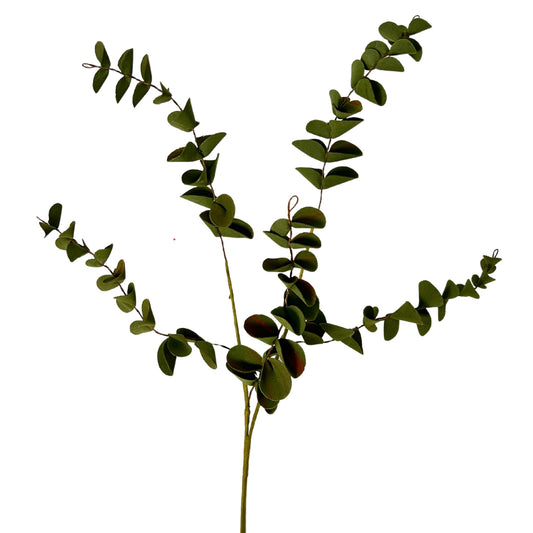 EVA Boxwood Pick - Dark Green 19” | KS