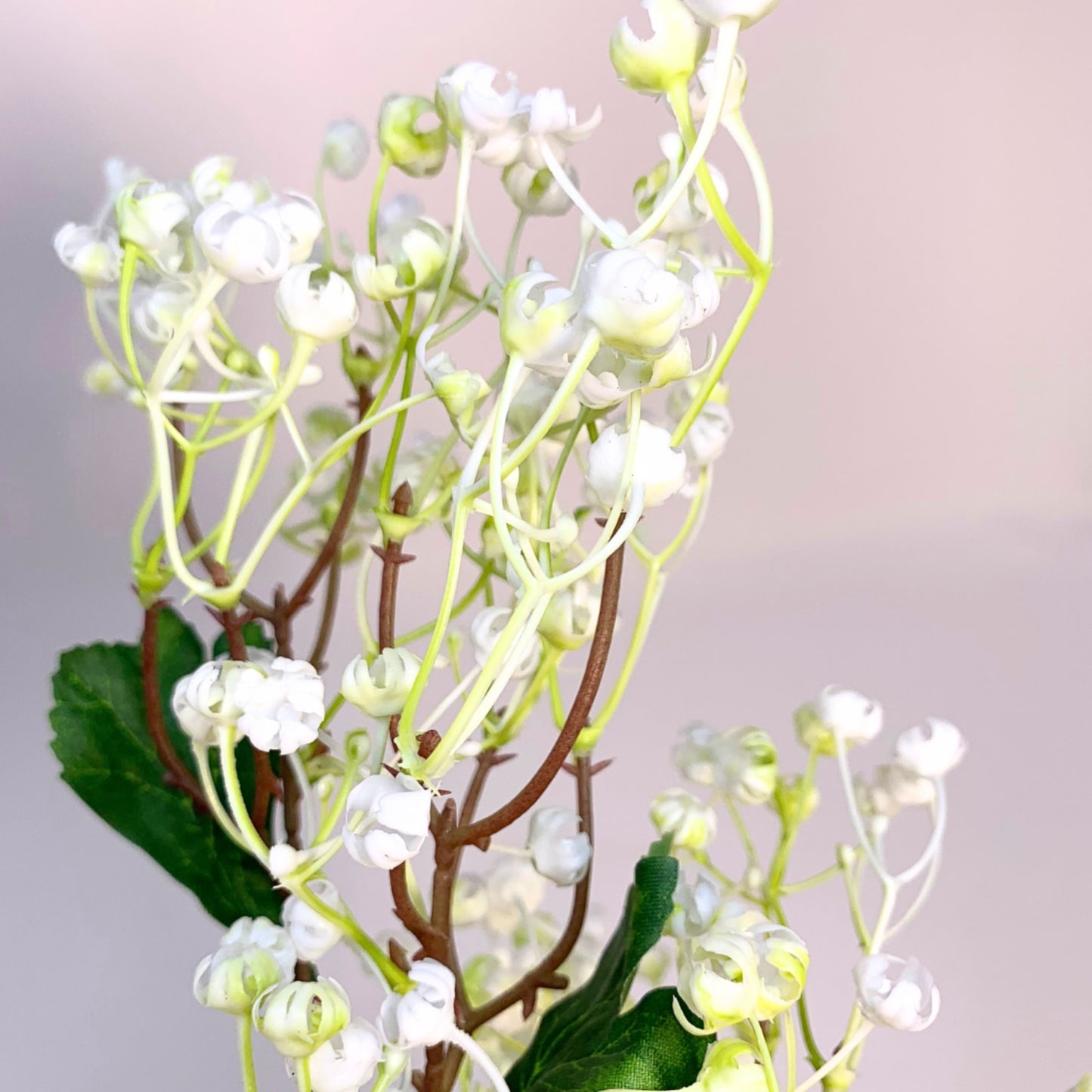 Plastic Winter Daphne Flower Spray 36" | YSE