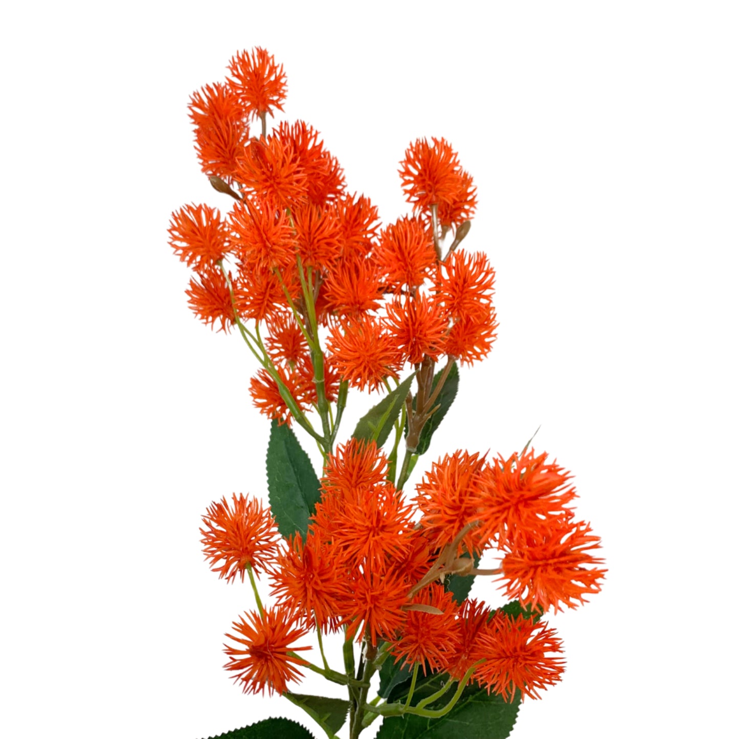 Meadow Thistle Cluster Spray - Dark Orange 31" | YSE