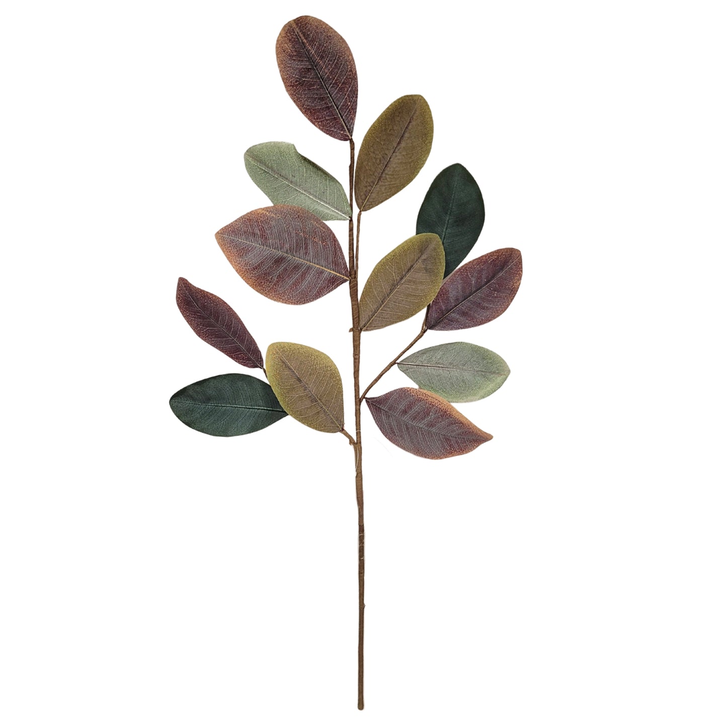 Cypress Hills Magnolia Spray 28'' | QPE