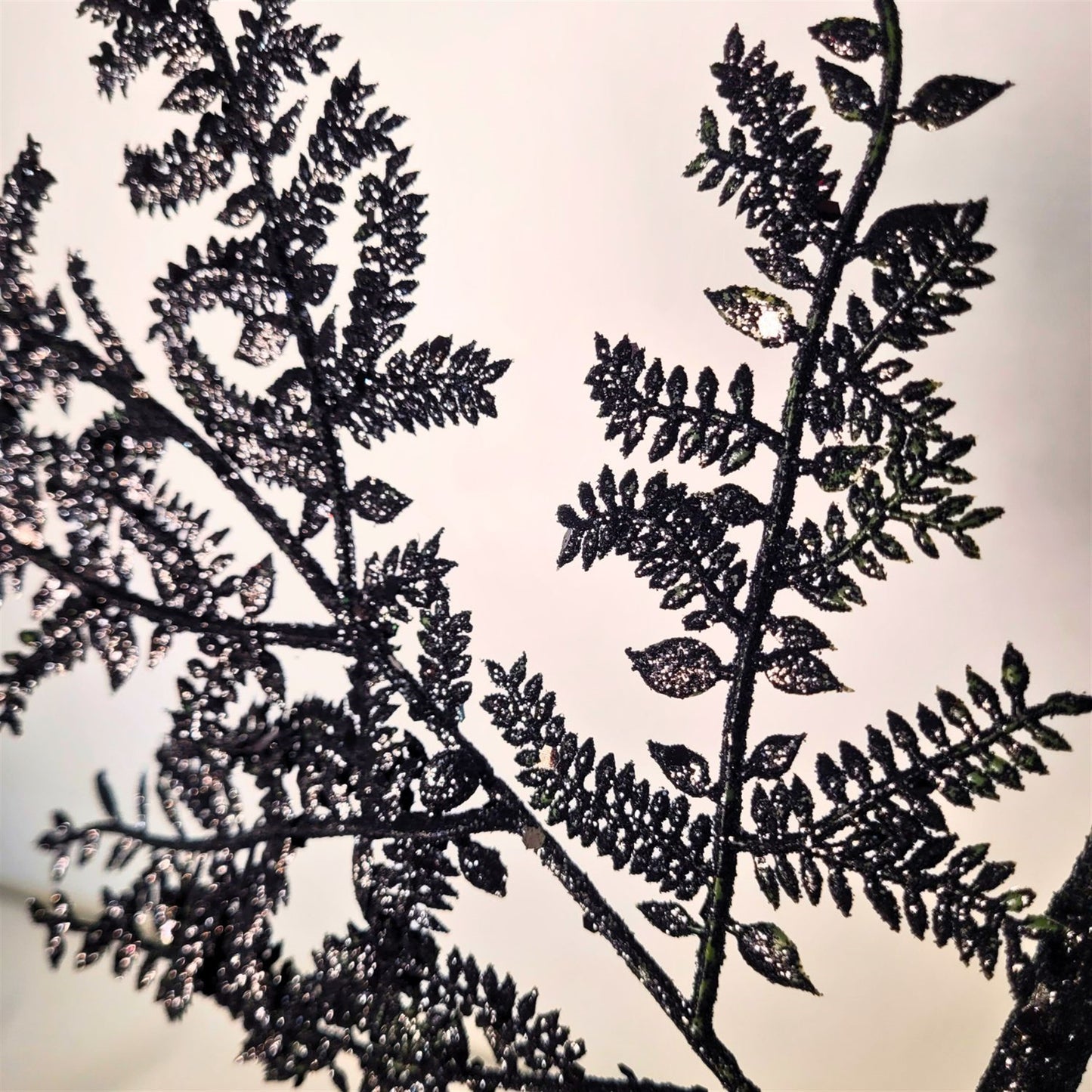 Glittered Fern Spray - Black 29” | KS