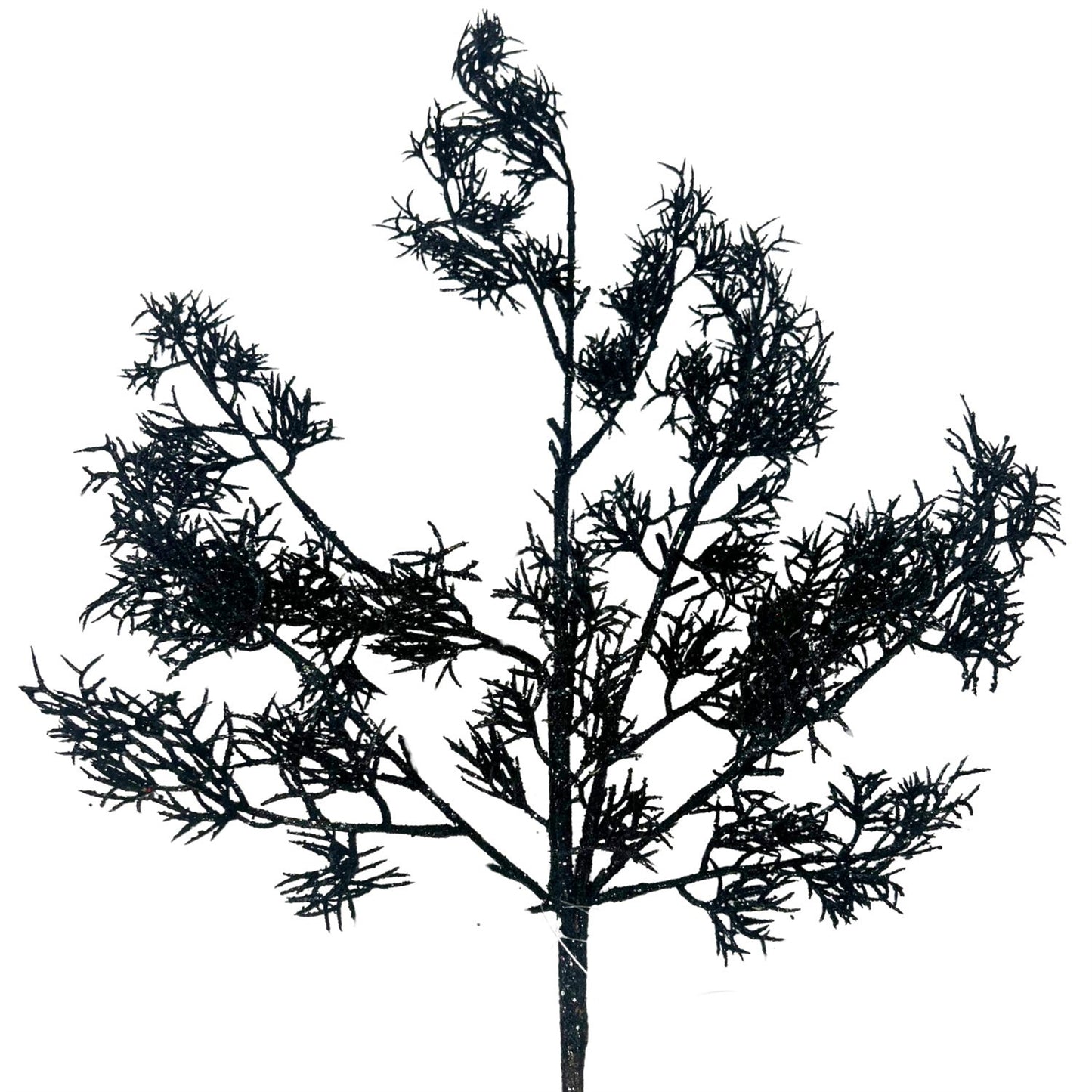 Glittered Italian Cypress Spray - Black 29” | QP