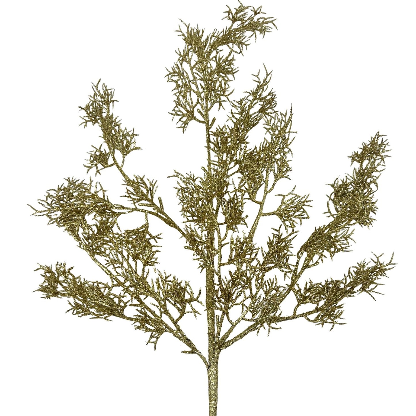 Glittered Italian Cypress Spray - Gold 29” | QP