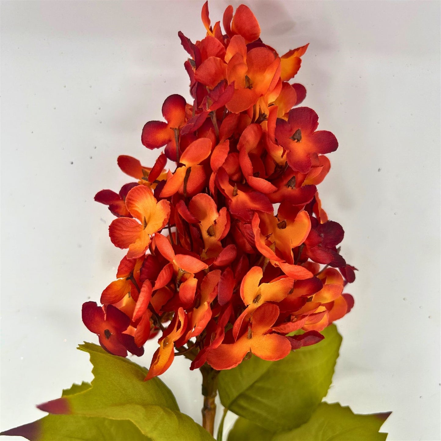 Meadows Cone Hydrangea Spray - Dk Orange 29” | YS