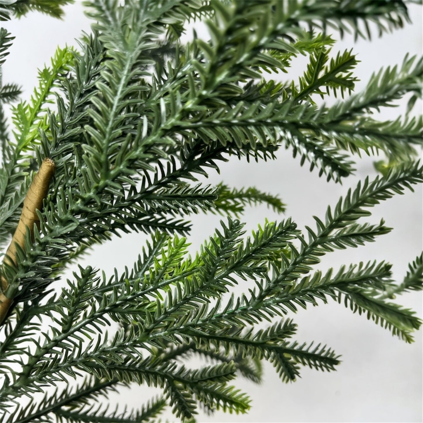 Soft Touch Mini Noble Fir 24" | DB