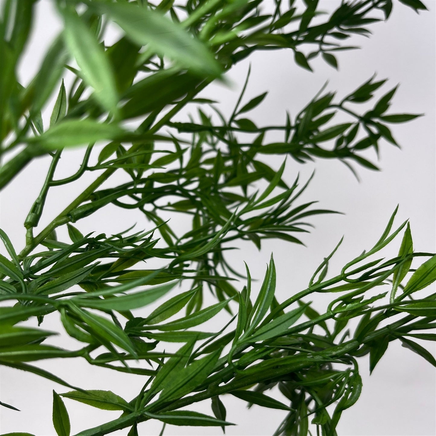 Stellatus Foliage Spray - 32" - Green | GT