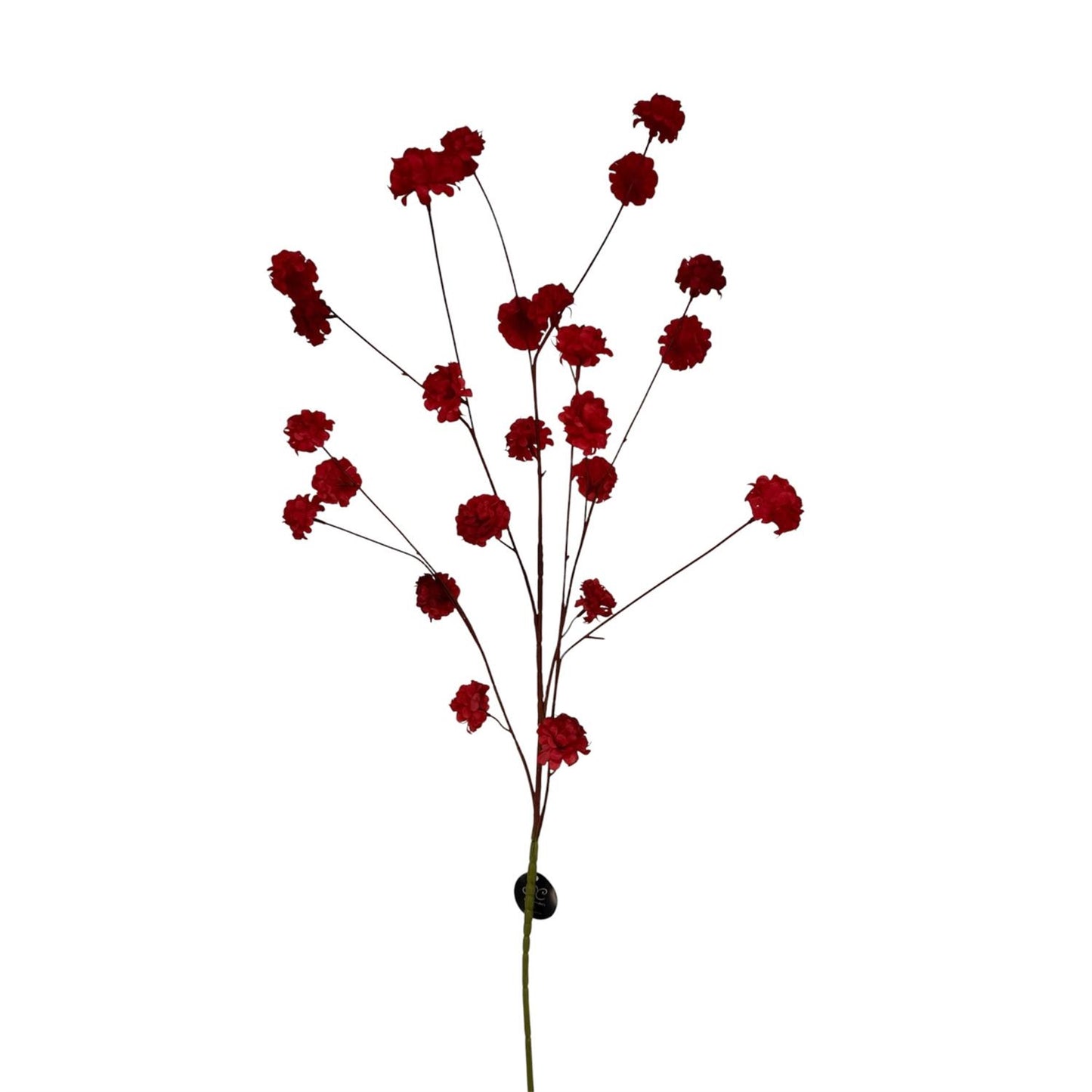 Pom Branch 44" - Red | GT