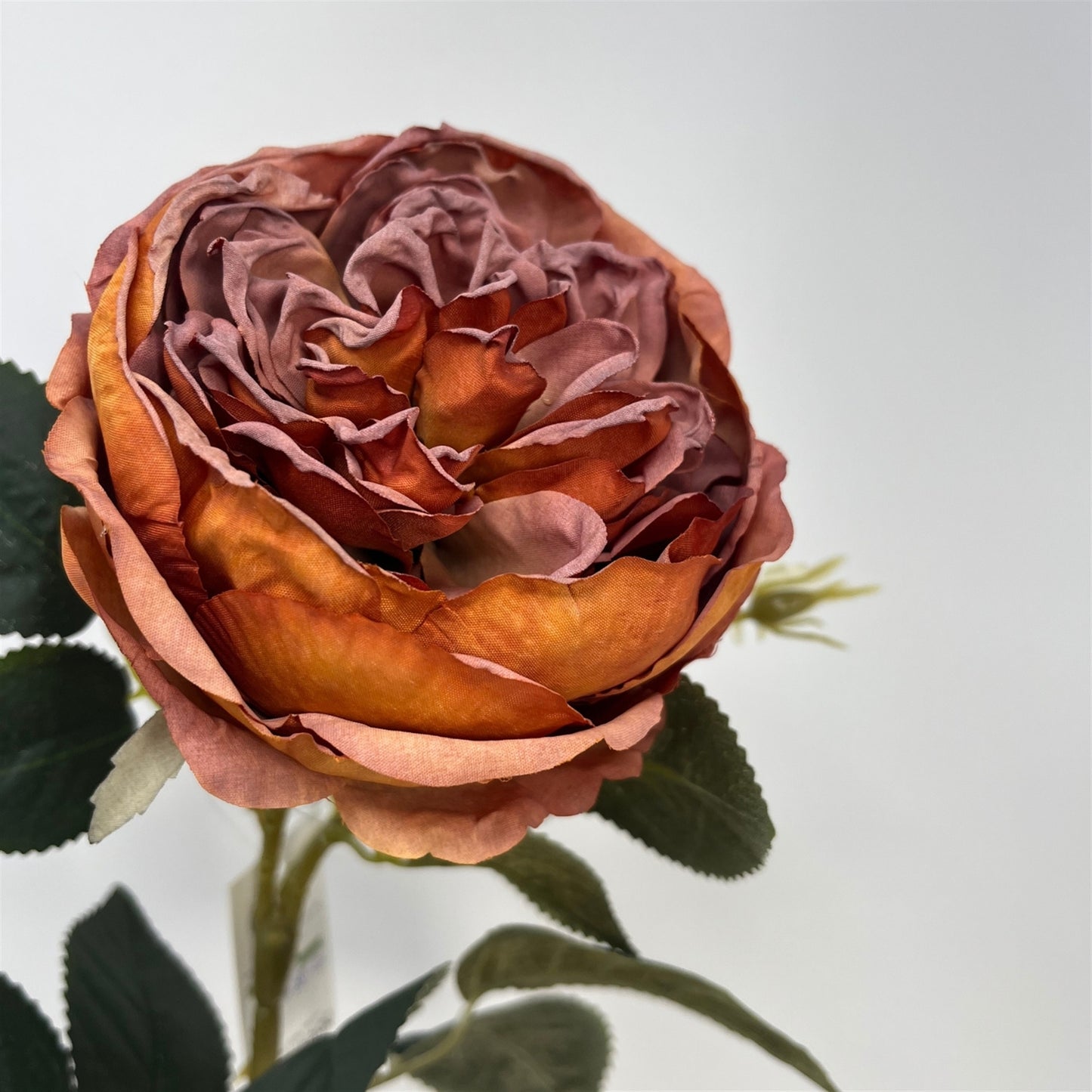 Faux Dried English Rose 24" - Burnt Orange