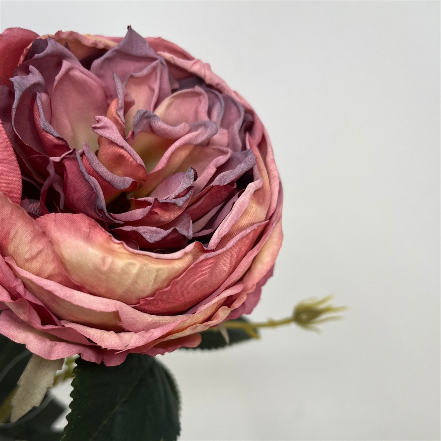 Faux Dried English Rose 24" - Mauve