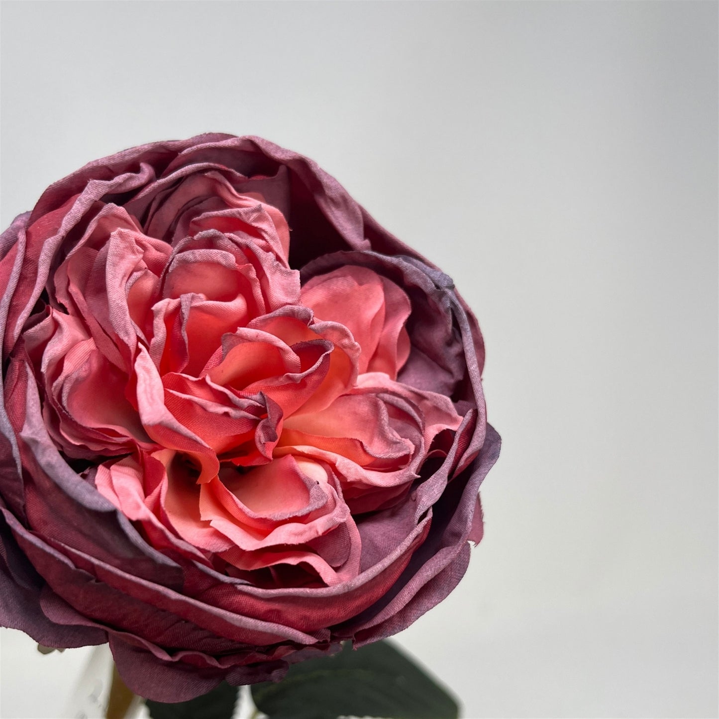 Faux Dried English Rose 24" - Rouge