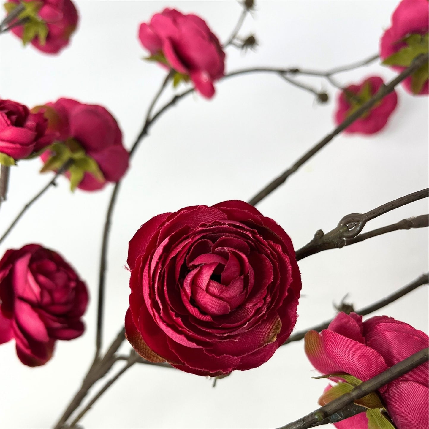 Blooming Ranunculus Branch 44" - Dark Raspberry
