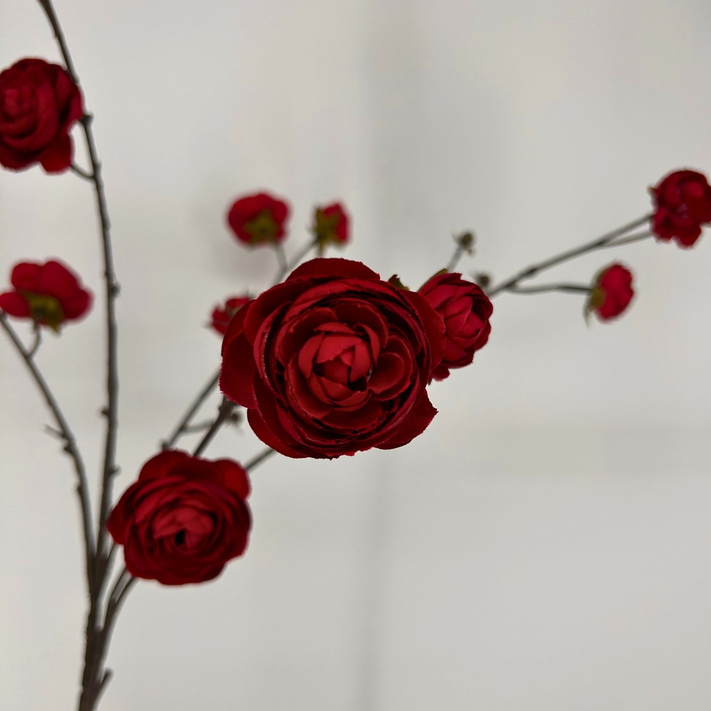 Blooming Ranunculus Branch 44" - Red | GT