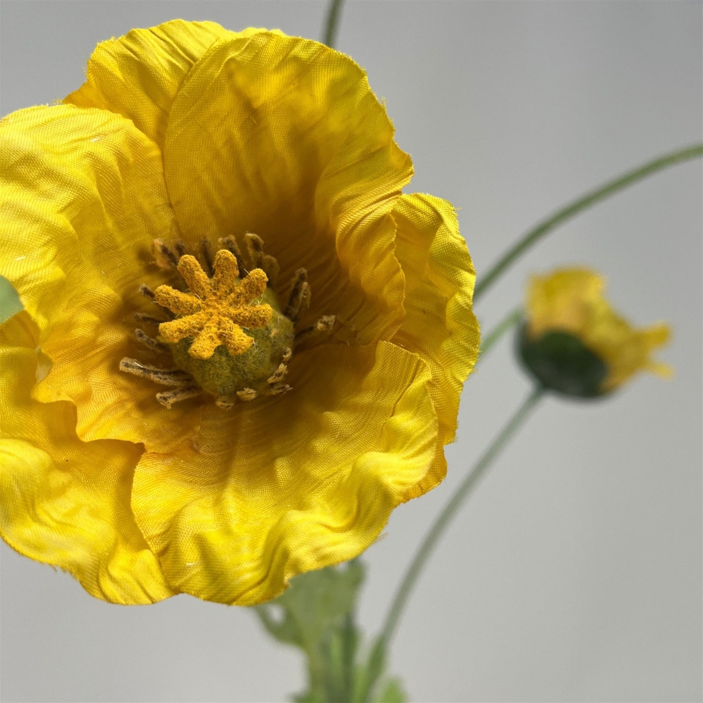 Wild Poppy Spray x5 - 29" - Yellow | GT