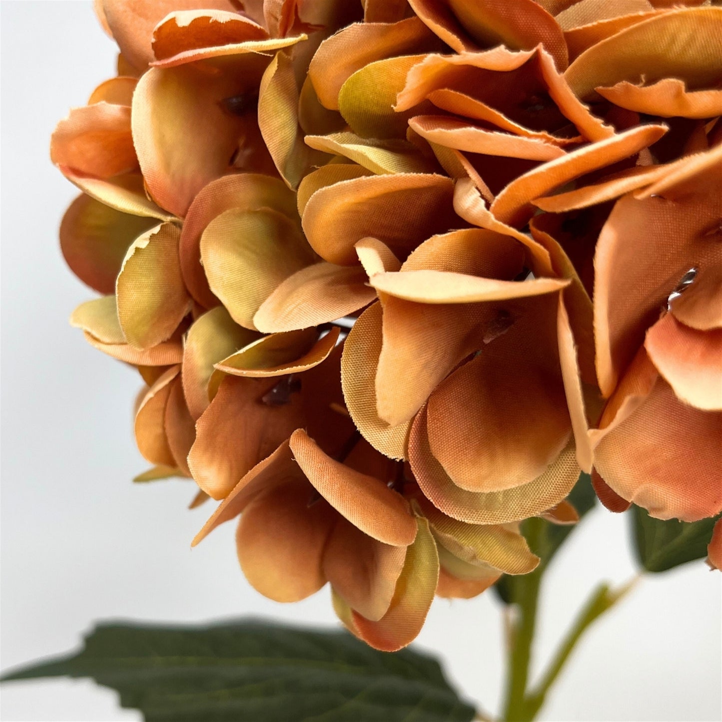 Harmony Hydrangea Stem 24" - Caramel | GT