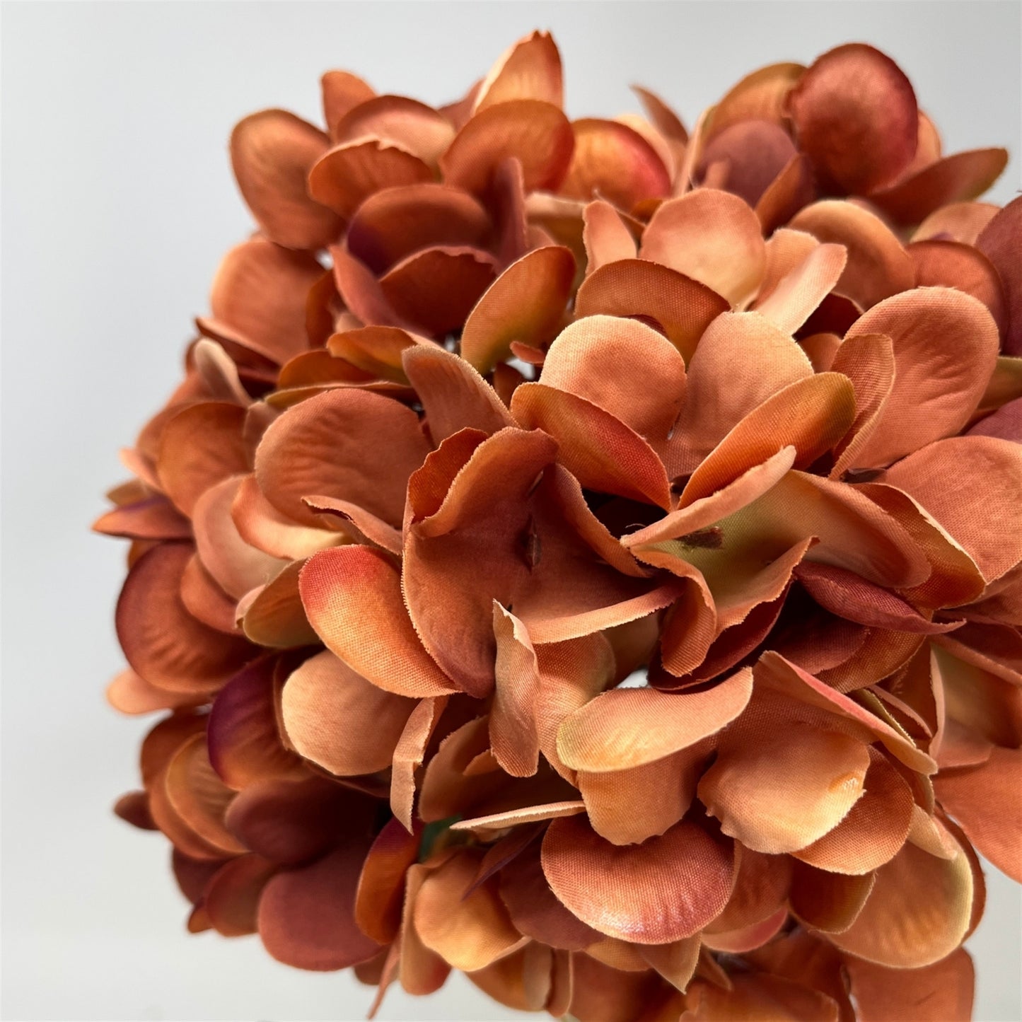 Harmony Hydrangea Stem 24" - Terra Cotta | GT
