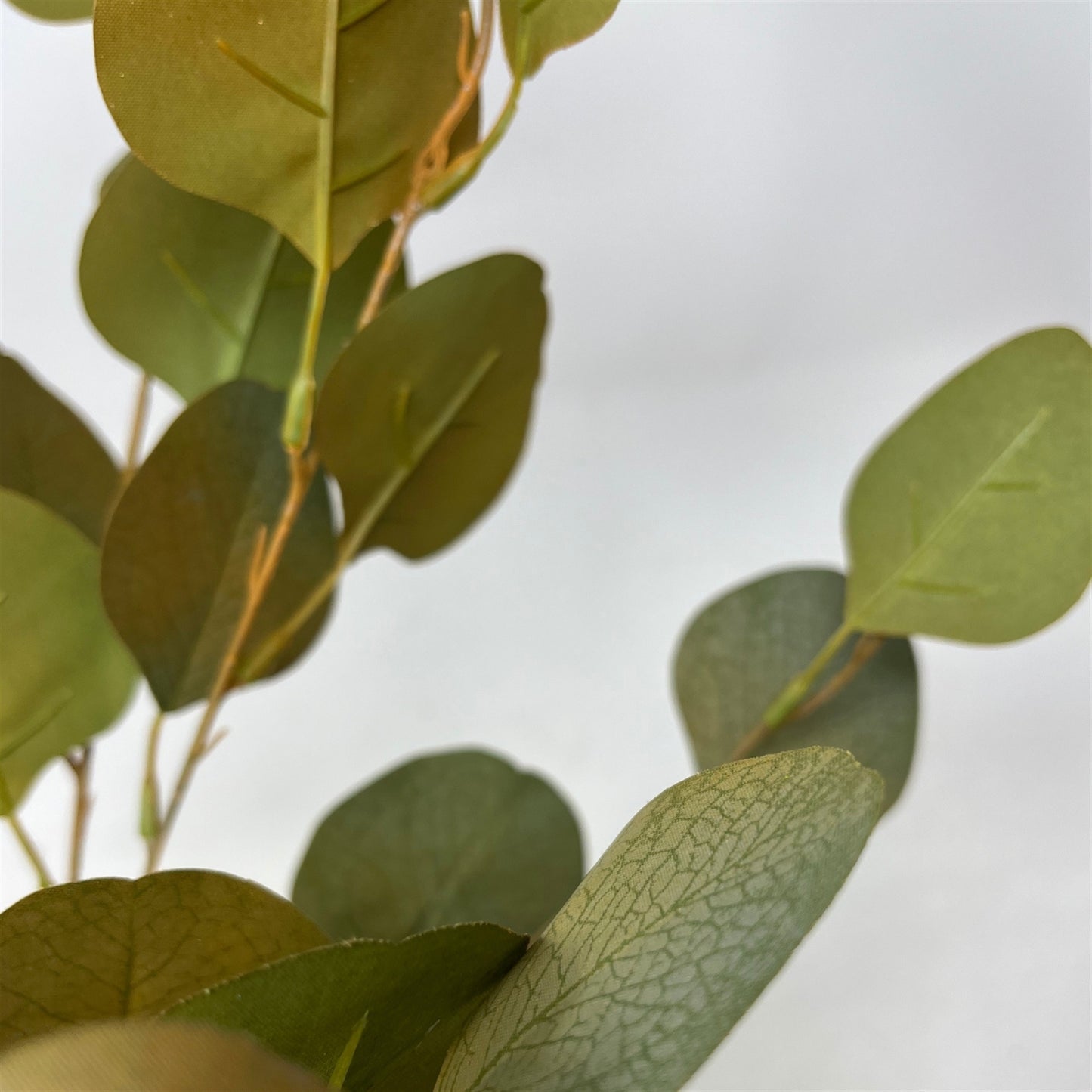 Earthy Eucalyptus Stem 33" - Green