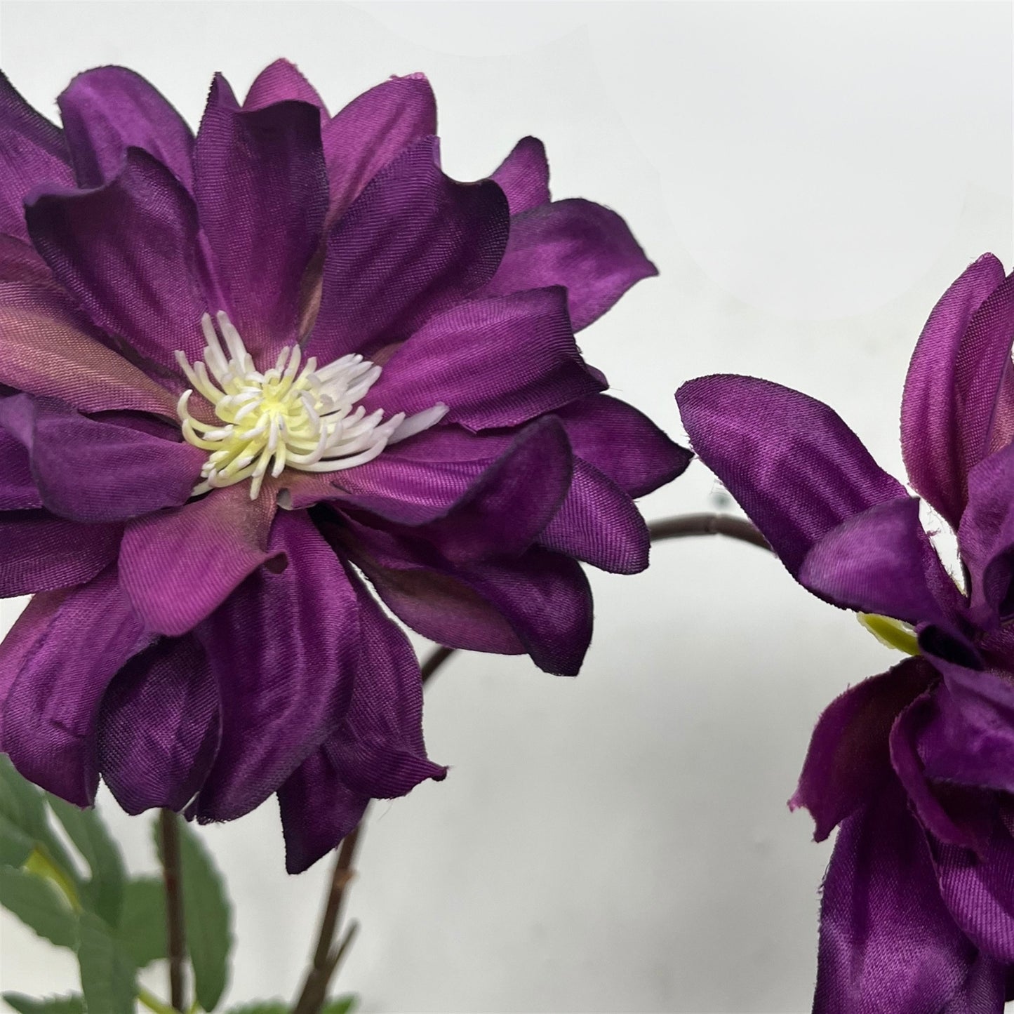 Star Dahlia Stem 27" - Purple