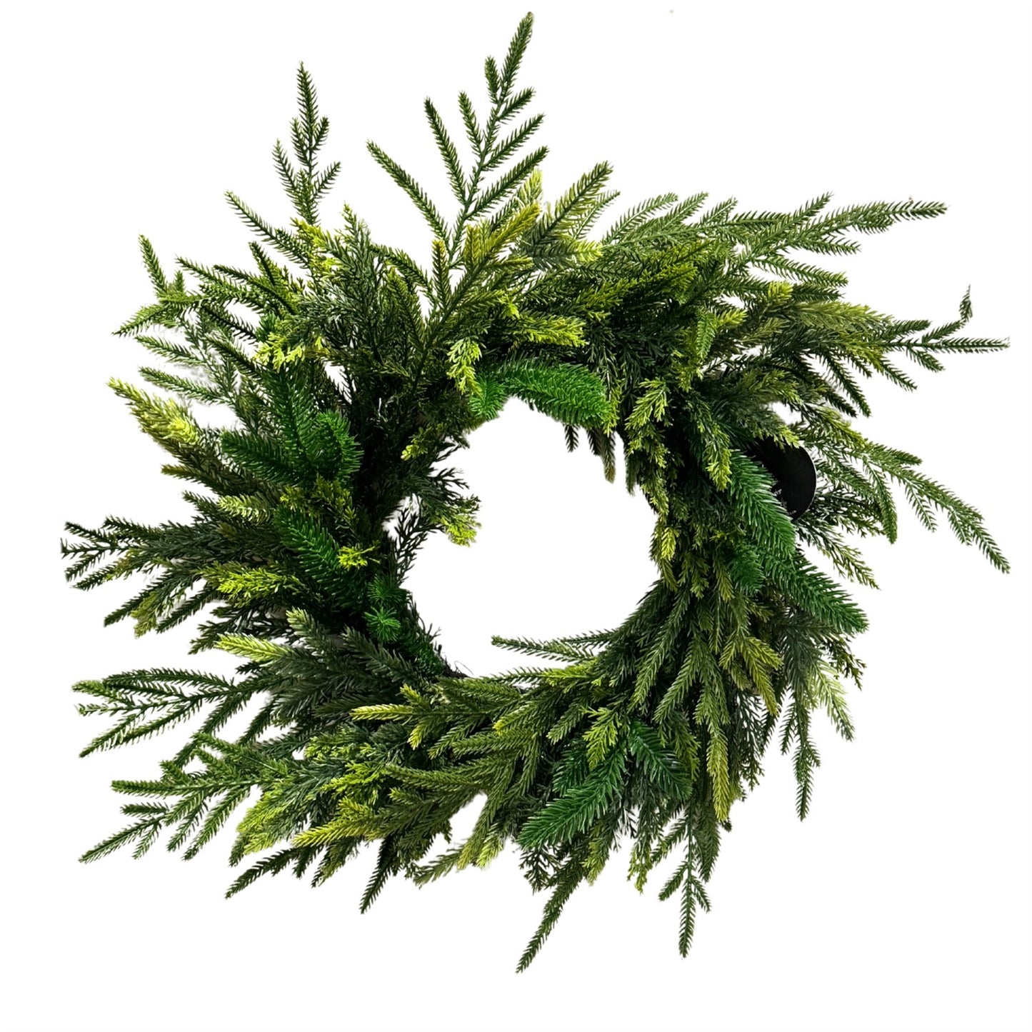 Mixed Pine w/ Soft Touch Norfolk and Cedar Wreath 24" | DB