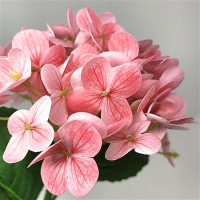 Fresh Touch Hydrangea Stem 18” - Medium Pink | YSE