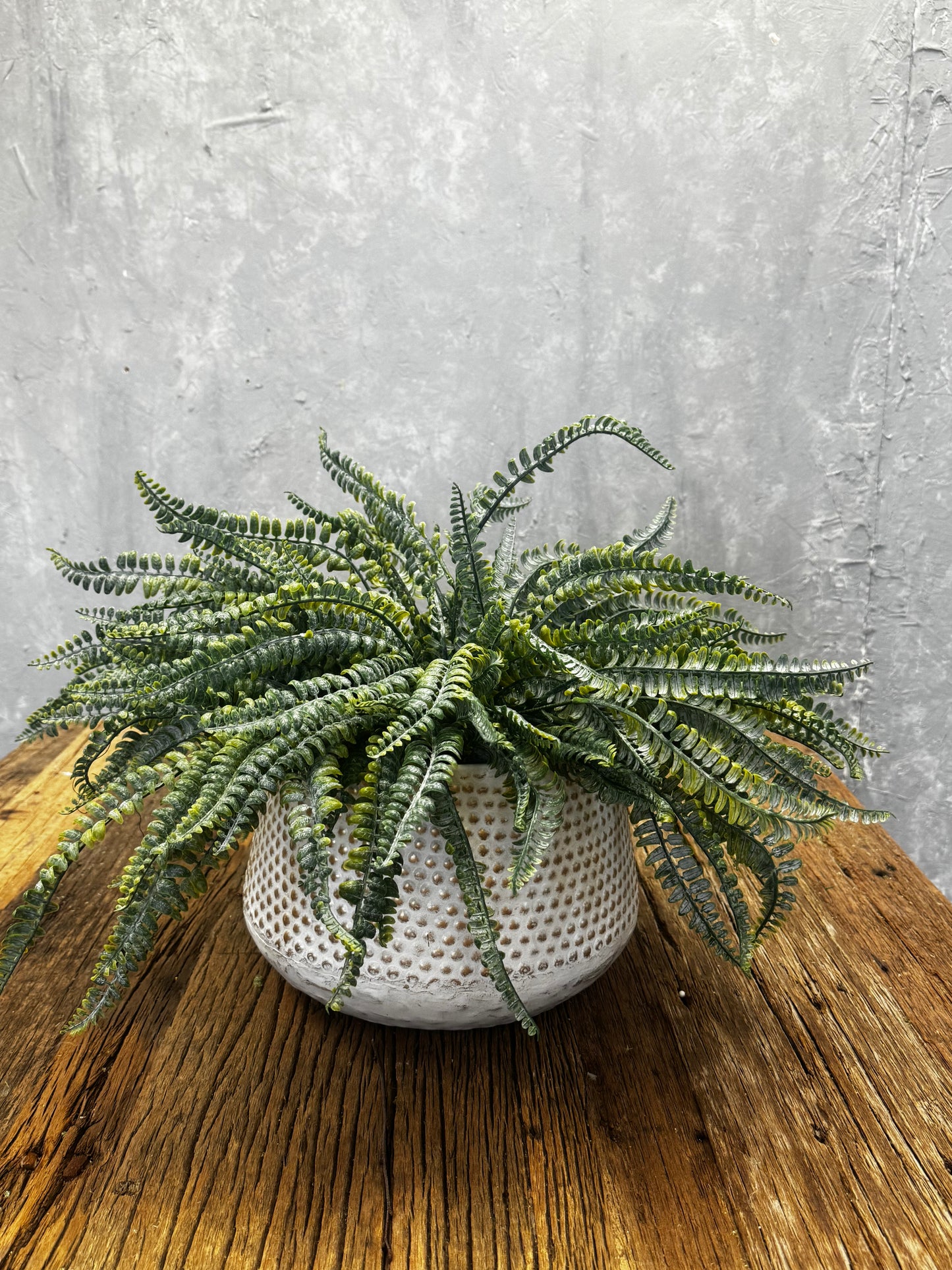 Fun with Ferns Embossed Dot Pot Large DIY KIT {Assembly Required}
