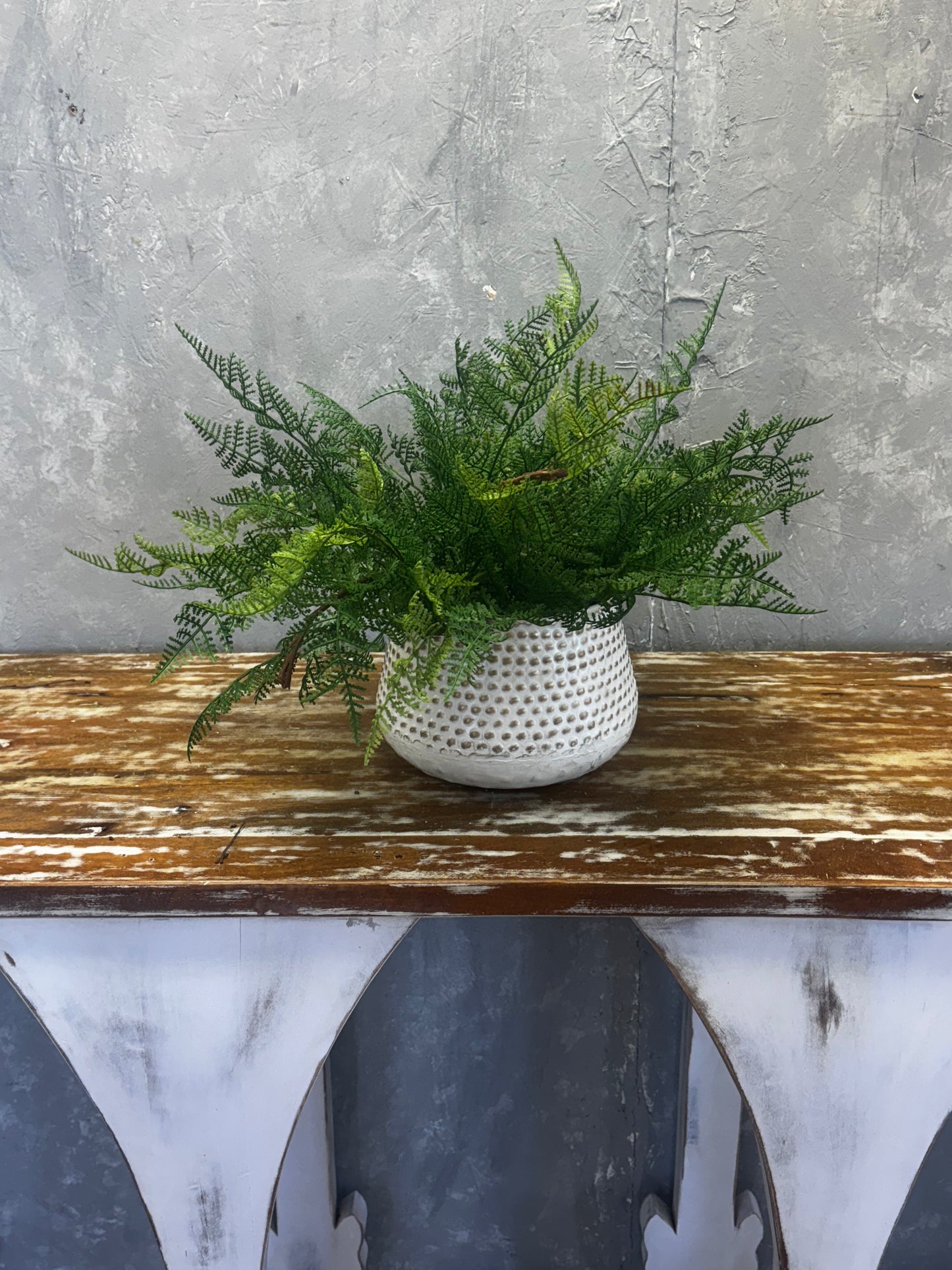 Fun with Ferns Embossed Dot Metal Planter DIY Small DIY KIT {Assembly Required}