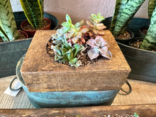 Load image into Gallery viewer, Succulent &amp; Plant Health Class | May Maker of the Month {Ticketed Event}