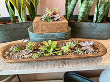 Load image into Gallery viewer, Succulent &amp; Plant Health Class | May Maker of the Month {Ticketed Event}